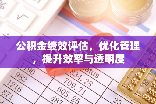 遂川公积金绩效评估，优化管理，提升效率与透明度