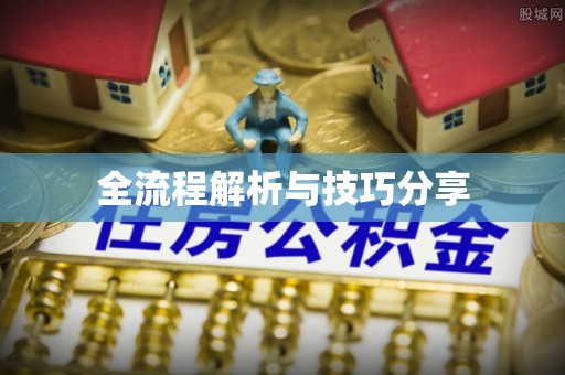 遂川全流程解析与技巧分享